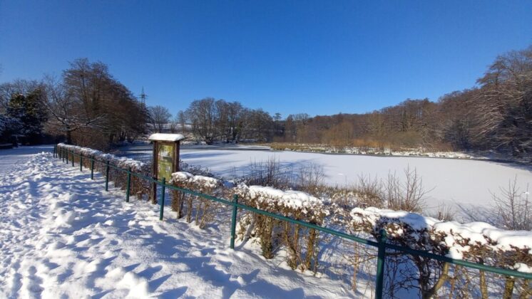 Verschneite Landschaft mit zugefrorenem Teich und blauem Himmel
