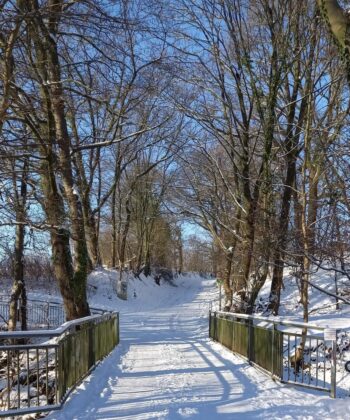 Verschneiter Weg mit Bäumen und Brücke.