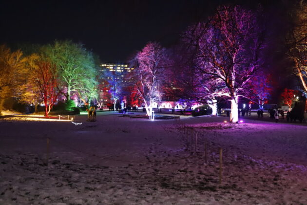 Parkleuchten 2024 Essen. Foto: Andre Volkmann