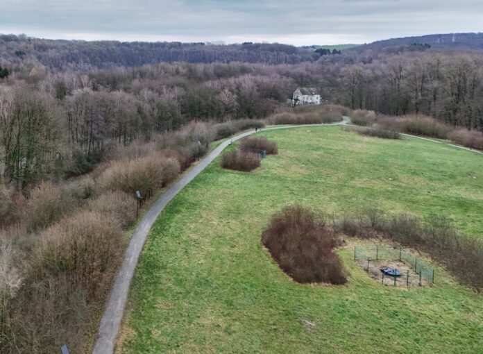 Luftaufnahme eines grünen Parks mit Weg.