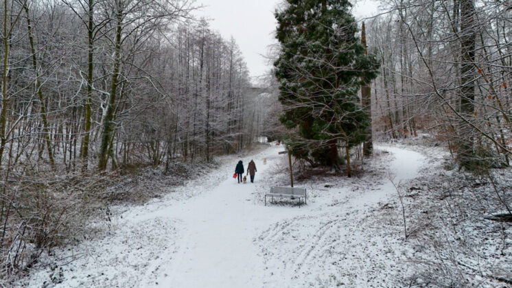 Schneebedeckter Waldweg mit Spaziergängern im Winter.