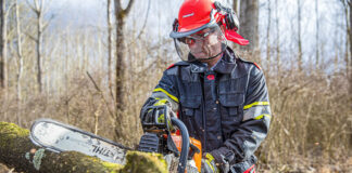 Förster sägt Baum mit Kettensäge.