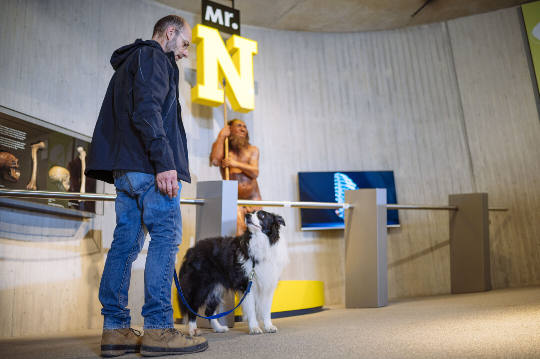 Ins Neanderthal-Museum geht es auf Wunsch auch wieder mit dem Hund. Foto: Museum