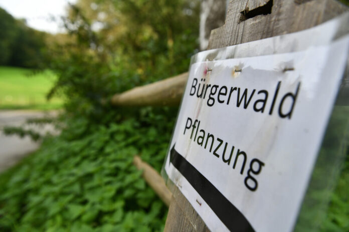 Schild "Bürgerwald Pflanzung" im Grünen.
