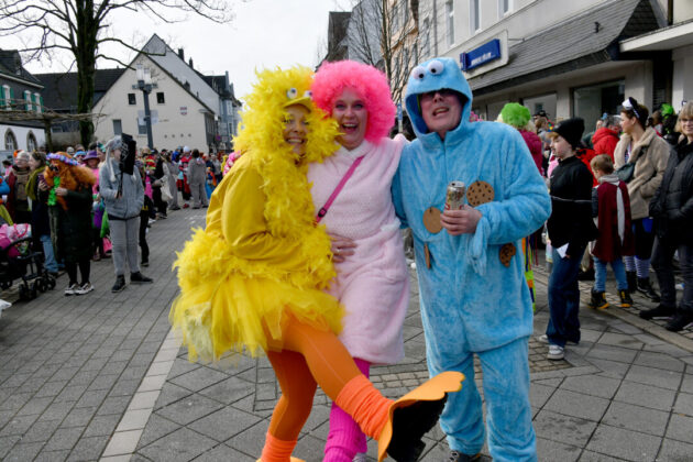 Karneval, kostümierte Menschen, Straßenfest.