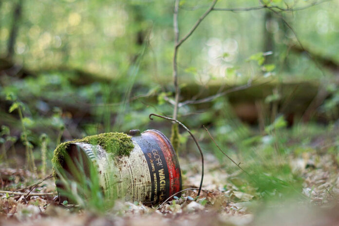 Moosbedeckte Dose im Wald.