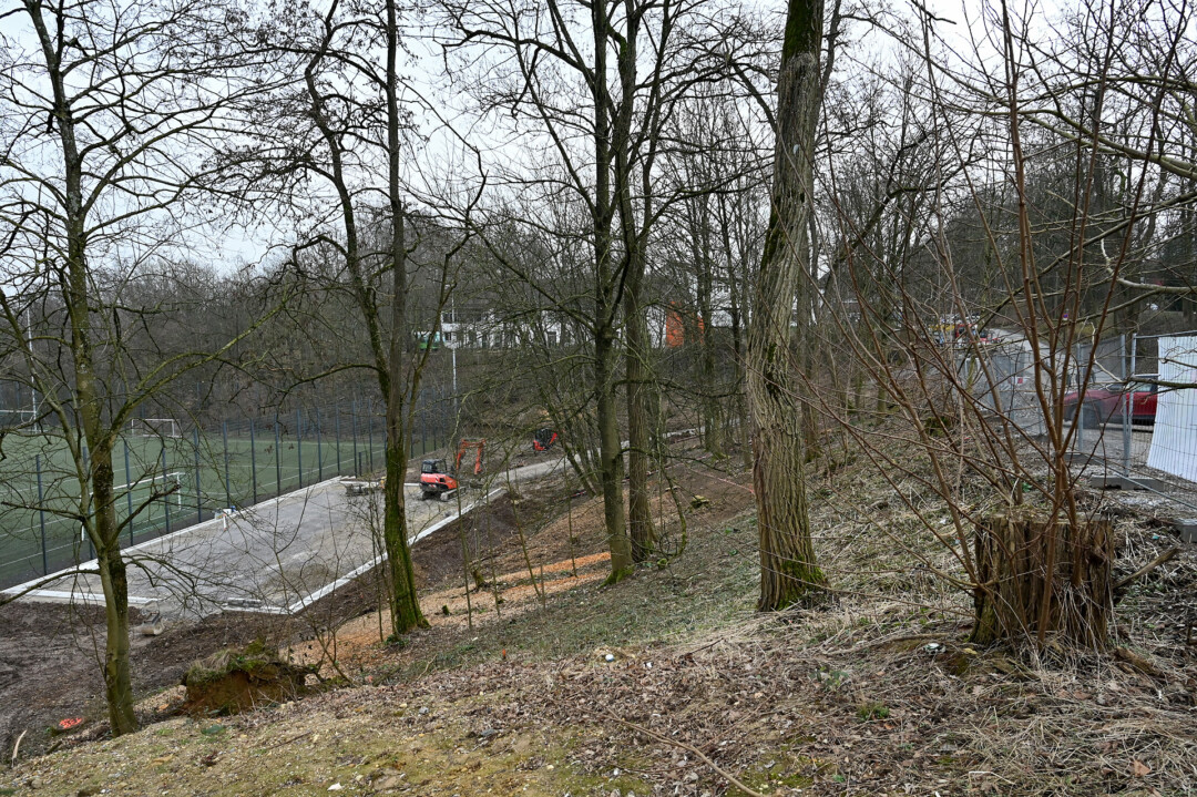 Wald nahe Baustelle im Winter.