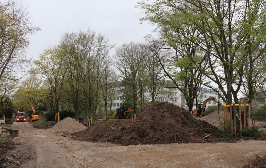 Im Grünzug an der Dieselstraße ist die neue Pumptrack-Anlage zu verorten. Foto: Stadt Ratingen/Archiv