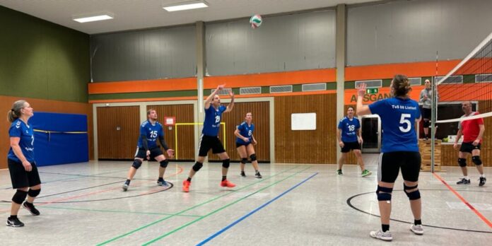Lintorfs Hobby-Volleyballer auf dem Feld. Foto: TuS 08 Lintorf