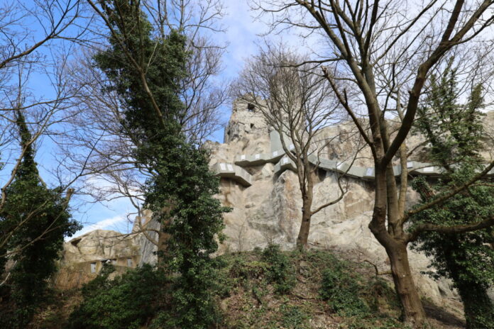 Der Drachenfels ist ein Wahrzeichen und Touristenmagnet. Foto: BLB - Bau- u. Liegenschaftsbetrieb NRW