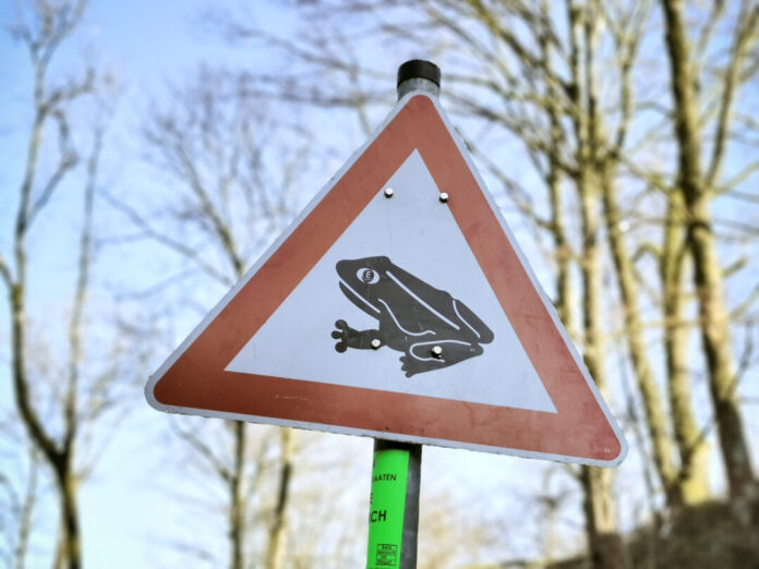 Verkehrszeichen: Achtung, Krötenwanderung.