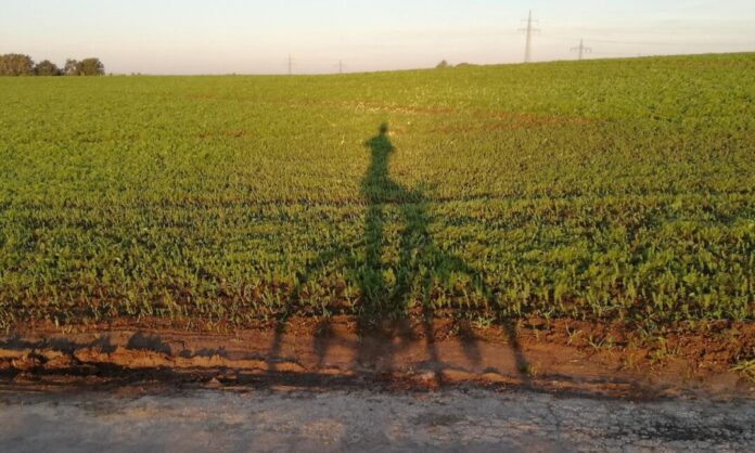 Der Radsportverein startet mit einer Tour rund um Mettmann in die Saison. Foto: Verein