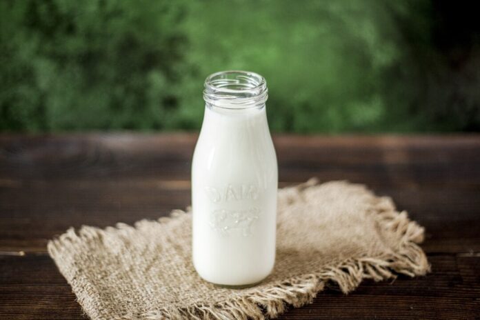 Nicht alle Schulen und Kitas im Kreis Mettmann bekommen Milch aus dem Schul-Milchprogram der EU. Foto: pixabay