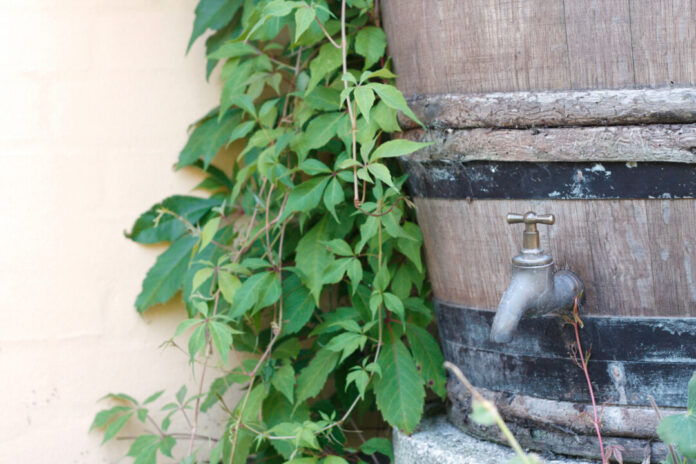 In einer Tonne oder einem Fass kann man Regenwasser sammeln. Foto: VZ NRW/Adpic