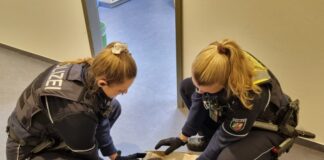 Polizistinnen retteten die beiden jungen Füchse. Foto: Polizei
