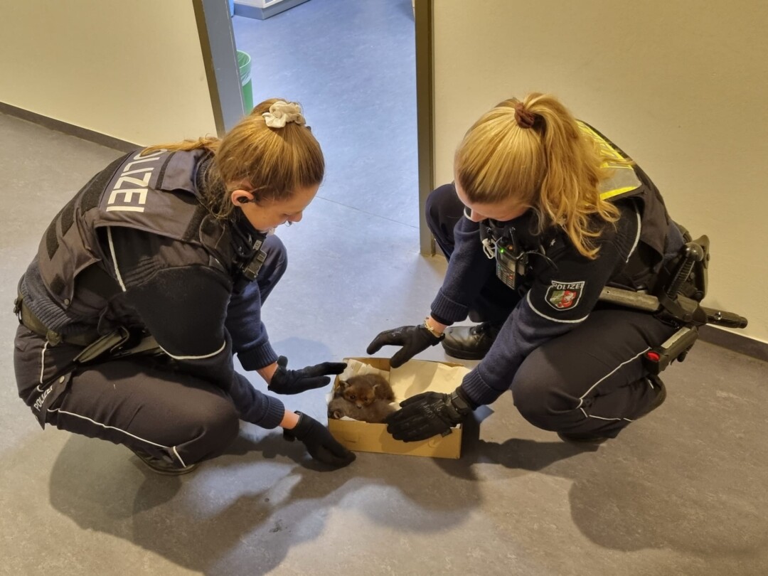 Polizistinnen retteten die beiden jungen Füchse. Foto: Polizei