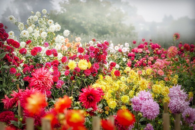 Um "Artenschutz im eigenen Garten" geht es am Frühstückstisch. Foto: Bürgerstiftung