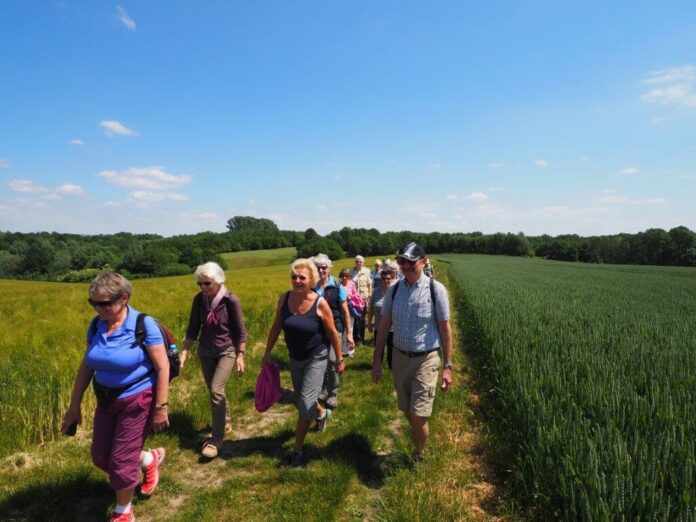 Wanderer sind in der Natur unterwegs. Foto: Stadt Ratingen