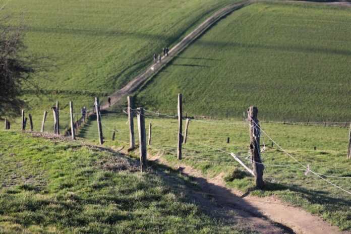 Hinaus ins Grüne - in Velberts Stadtbezirken lädt die Natur zum Wandern ein. Foto: André Volkmann