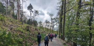 Gemeinsam wandern entlang von Talsperren bei den Bergischen Wanderwochen. Foto: Stephanie Kröber / Das Bergische