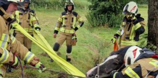 Die Wülfrather Feuerwehr im tierischen Rettungseinsatz. Foto: FW Wülfrath