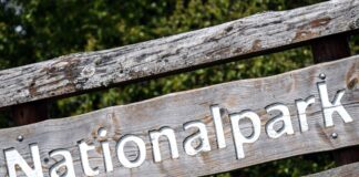 Einen Nationalpark vor der Haustür will bislang keine Region in NRW haben - doch am Niederrhein wollen die Bürger das Nein ihrer Kommunalpolitiker nicht akzeptieren. (Archivbild)