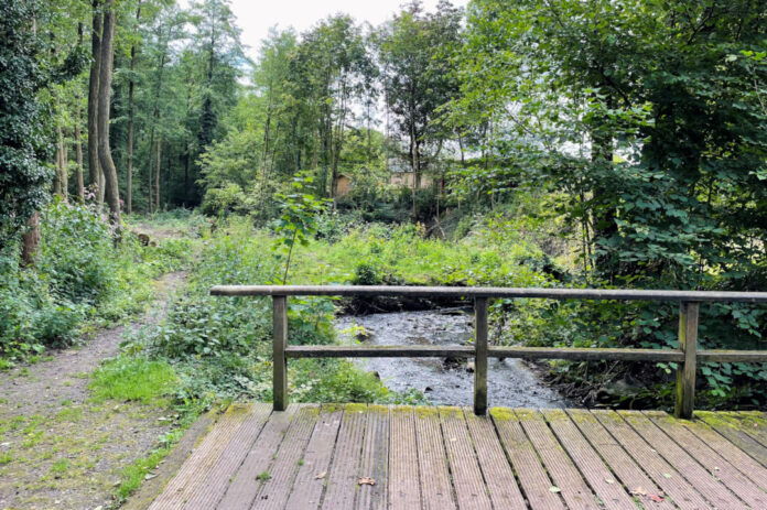 Ein Blick auf die Holzbrücke. Foto: Stadt Erkrath