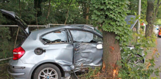 Um den Baum gewickelt - der BMW erlitt bei dem Unfall Totalschaden. Foto: Polizei