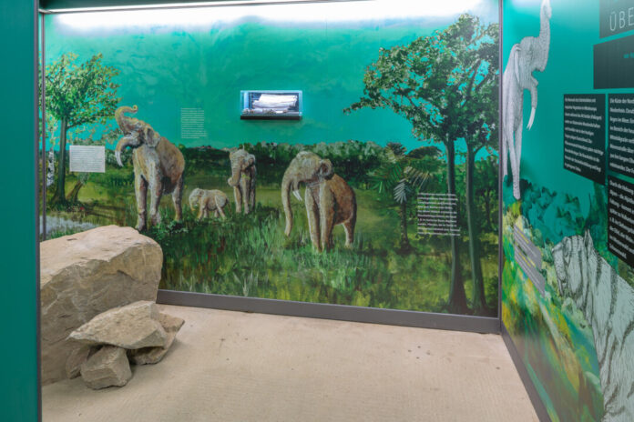 Ein Blick in die Dauerausstellung des Zeittunnels. Foto: Zeittunnel