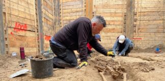 Archäologen haben rund 160 Skelette an der Baustelle für das neue Gästehaus des Landtags freigelegt.