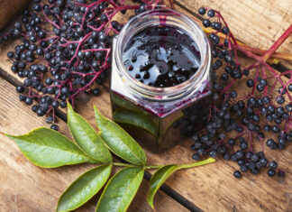 Als Gelee schmecken die Beeren besonders gut. Foto: VZ NRW/adpic