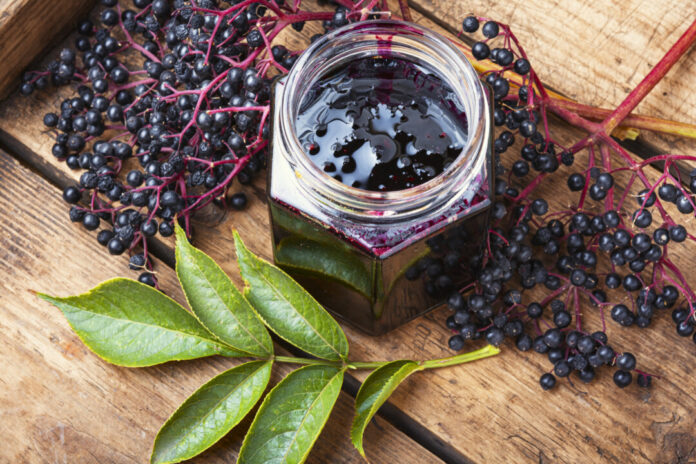 Als Gelee schmecken die Beeren besonders gut. Foto: VZ NRW/adpic