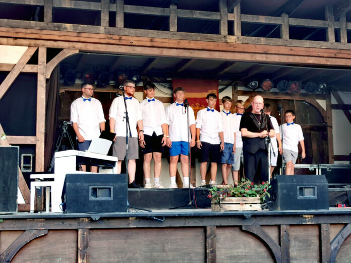 Die Rheinischen Sängerknaben aus Hösel beim Altstadtfest. Foto: Matthias Wehnert