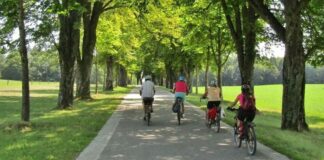 Radfahrer sind unterwegs. Foto: Claudia Redeker