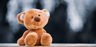 Ein Kuscheltier sitzt auf einem Brett. Foto: pixabay