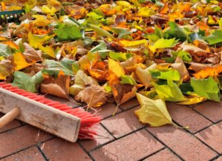 Laub fegen gehört vor allem für Eigentümer zum Alltag. Foto: VZ NRW/Adpic