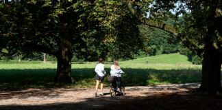 Sonnig, heiter und wieder wärmer: Es wird in der kommenden Woche noch einmal spätsommerlich schön in NRW