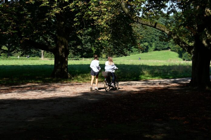 Sonnig, heiter und wieder wärmer: Es wird in der kommenden Woche noch einmal spätsommerlich schön in NRW