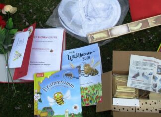 Die Stadtbibliothek hält zwei Bienenlernkoffer für Kitas und Schulen bereit. Foto: Stadt Ratingen