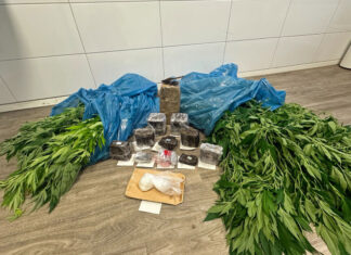 Im Rahmen einer Hausdurchsuchung konnte die Polizei illegal angebautes Cannabis, Kokain und mehrere Kilogramm Haschisch sicherstellen. Foto: Polizei