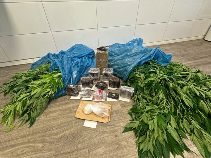 Im Rahmen einer Hausdurchsuchung konnte die Polizei illegal angebautes Cannabis, Kokain und mehrere Kilogramm Haschisch sicherstellen. Foto: Polizei
