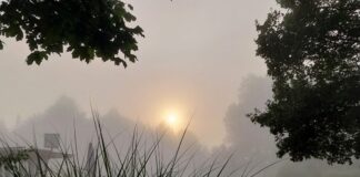 Im Naturfreibad endet die Saison. Foto: Kreisstadt Mettmann