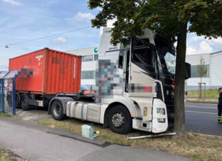 Der Lastwagen prallte frontal gegen einen Baum. Foto: Polizei