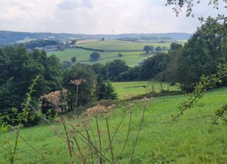 Es geht durch das Windrather Tal. Foto: Kreis ME