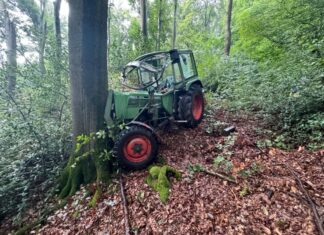 Der Baum kam erst an einem Baum zum Stehen. Foto: Feuerwehr Hattingen