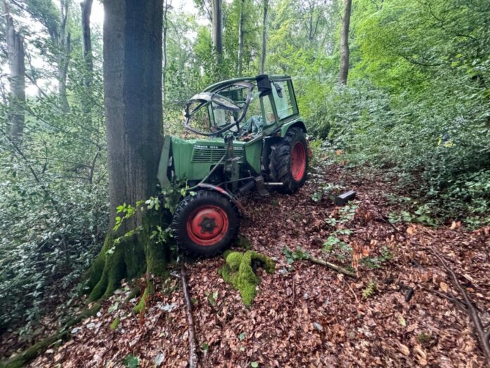 Der Baum kam erst an einem Baum zum Stehen. Foto: Feuerwehr Hattingen