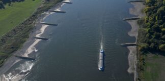 Die Umweltschutzorganisation Greenpeace hat in Proben aus dem Rhein erneut Plastikpartikel im Wasser entdeckt. (Archivfoto)