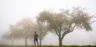 Gebietsweise gibt es Nebel. (Archivfoto)