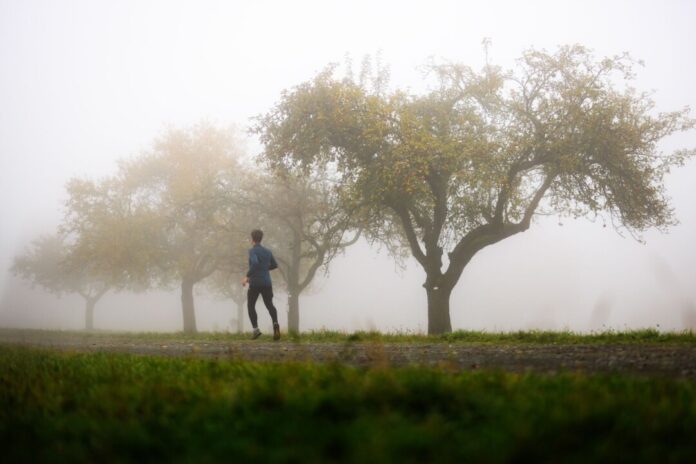 Gebietsweise gibt es Nebel. (Archivfoto)