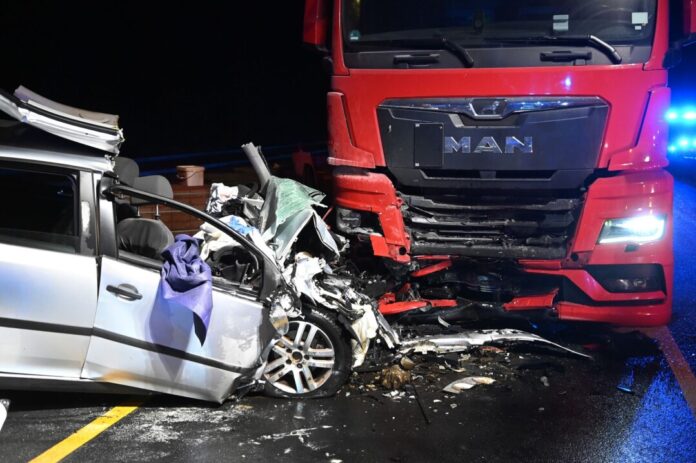 Der Autofahrer und sein Hund überlebten den Aufprall nicht.